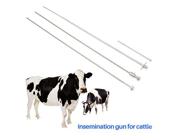 Artificial insemination gun in cattle 