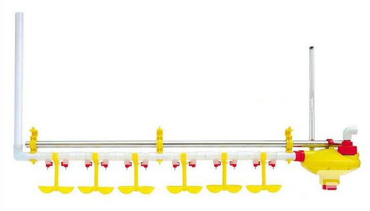 Automatic poultry chicken watering system