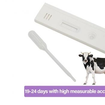 Product Description   Cattle cow pregnancy test strip(paper)  Product introducti