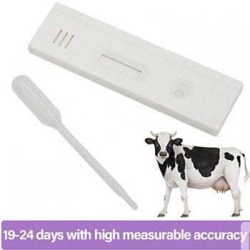 CATTLE COW PREGNANCY TEST STRIP(PAPER)