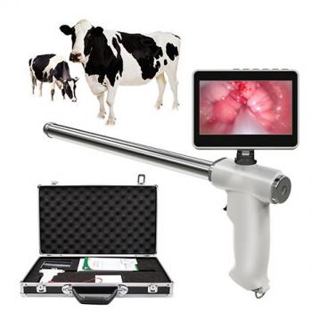 Visual cow insemination gun 