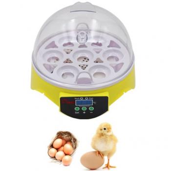 MINI CHICKEN EGG INCUBATOR FOR SALE