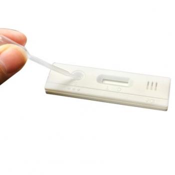 PIG PREGNANCY TEST STRIPS