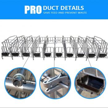 PIG FARROWING CRATES COLUMN